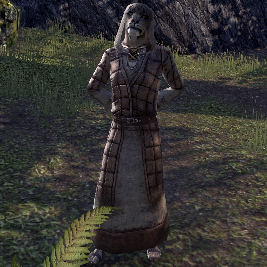 M’aiq in _Oblivion_